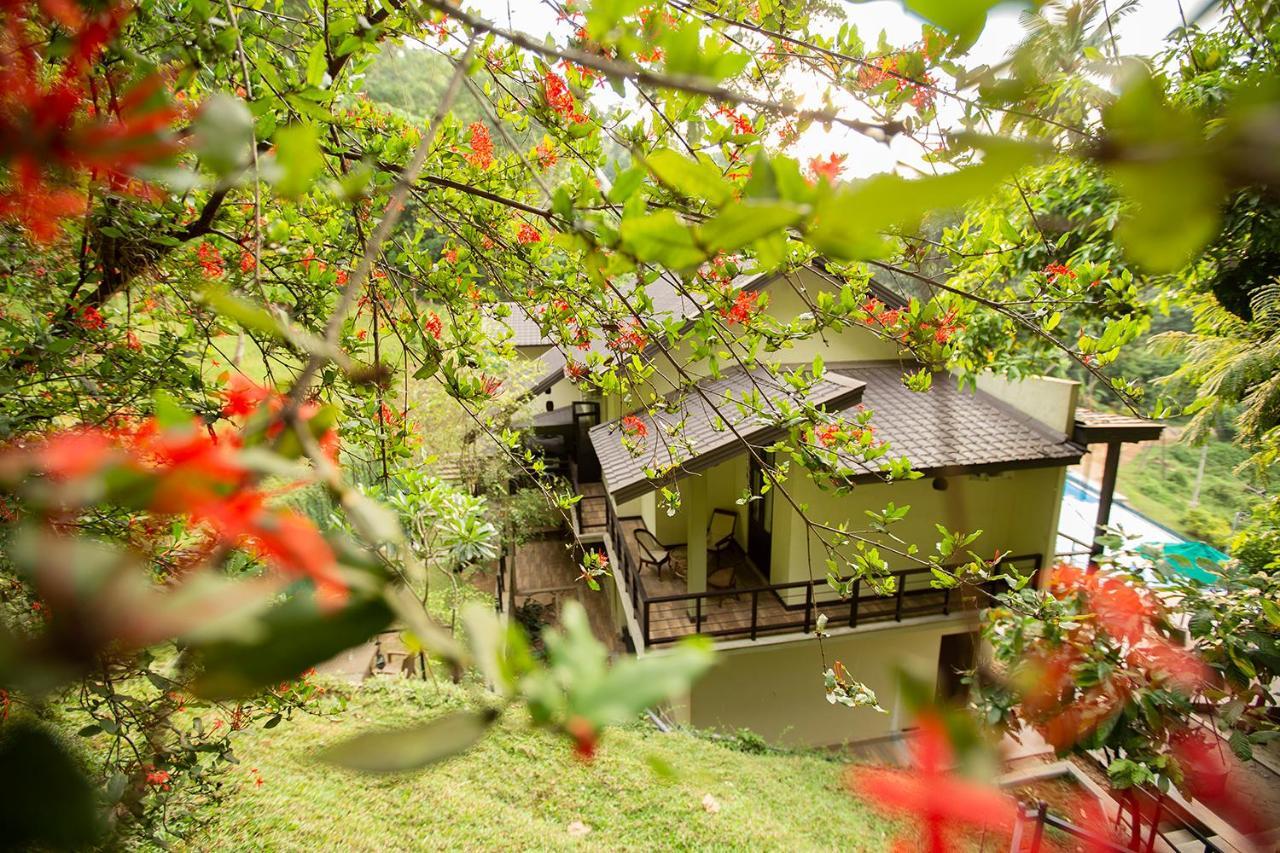 Huluganga Ridge, Kandy Karalliyadda Exteriér fotografie